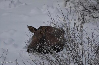 L13 B1 Potter View Cir, Anchorage, AK 99516 - photo 7
