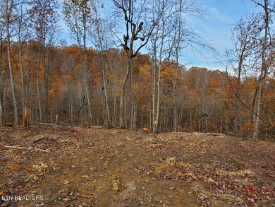 0 Bull Creek Lot H Rd, Huntsville, TN 37756 - photo 5