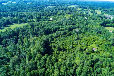 0 50 Ac Smith Ln, Cookeville, TN 38501 - photo 5