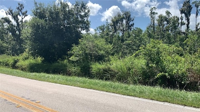 0 Sink Hole Rd unit MFRTB8408113, Bartow, FL 33830 - photo 2