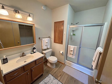 470 N 1st Ave unit 203, Iowa City, IA 52245 - photo 7