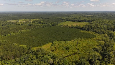 DJI_20250611102731_0053_D