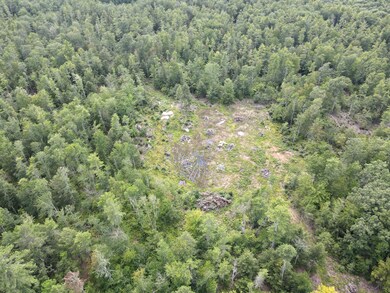DJI_0187