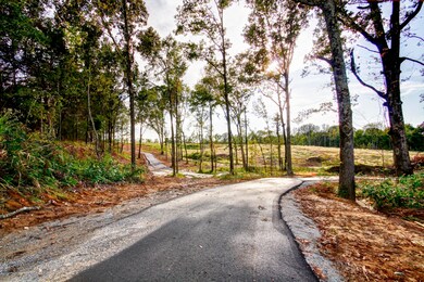 545 Howell Way, Hernando, MS 38632 - photo 3