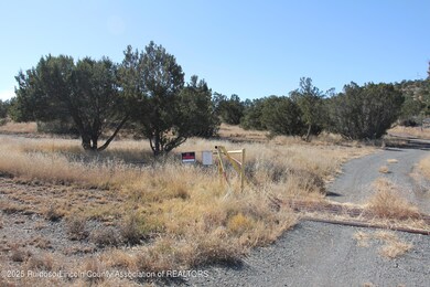 8406 US Hwy 380, Capitan, NM 88316 - photo 6