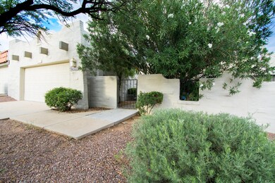 Mountain Quail Rd-Front (2)