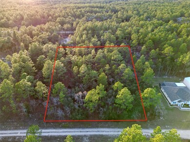 0 Tbd Sw 124th Terrace Rd, Ocala, FL 34481 - photo 5