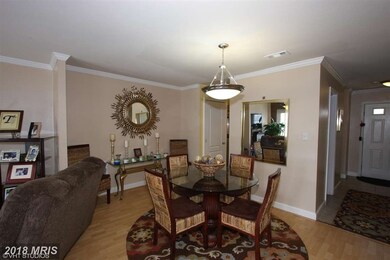 4021 Chesterwood Dr unit 4021, Silver Spring, MD 20906 - photo 7