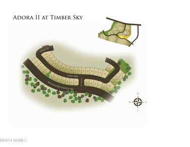 TSAdoraPh2MapMLS