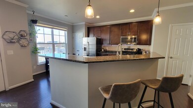 25220 Briargate Terrace, Chantilly, VA 20152 - photo 4