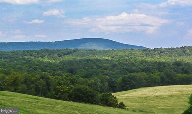 Lots 8A & 8B Reynolds Rd, Cross Junction, VA 22625 - photo 3