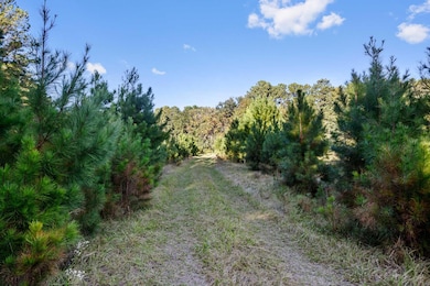 HFL_PLOW GROUND RD_30 ACRES-13