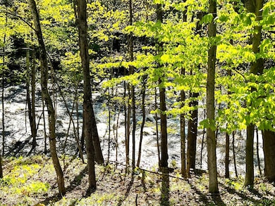 516 W Salisbury Rd, Salisbury, NH 03268 - photo 3