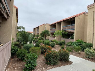 Manicured landscapes around the apartments.
