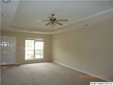 Great Room with Trey Ceiling and Ceiling Fan