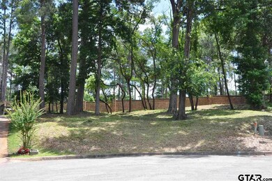 5620 Cedar Hill Cir, Tyler, TX 75703 - photo 4