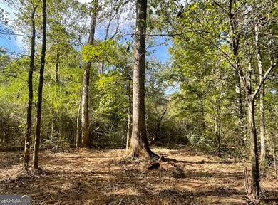 0 Buffalo Creek Rd unit 10624169, Carrollton, GA 30117 - photo 2