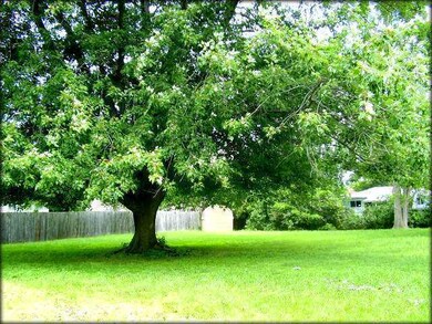 3624 Maybel St, Lansing, MI 48911 - photo 4