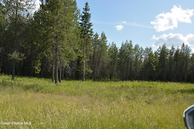 NKA Sylvan, Athol, ID 83801 - photo 7