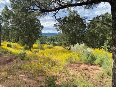 45 The Cliffs View, Glorieta, NM 87535 - photo 5