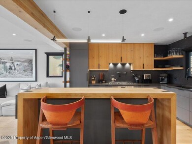 100 N 8th St unit 15, Aspen, CO 81611 - photo 7