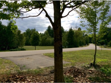 Corner Lot with Mt View