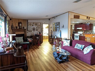 2875 N Page Ave, Hernando, FL 34442 - photo 2