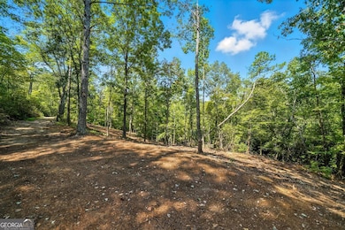 0 Debord Dr unit 10594515, Waleska, GA 30183 - photo 6