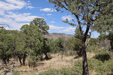 000 Trailer Rd unit 23, Timberon, NM 88350 - photo 6