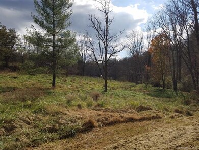 11 Aquarian Way, Leicester, NC 28748 - photo 4