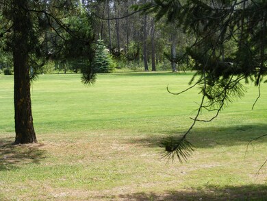 View of Golf Course