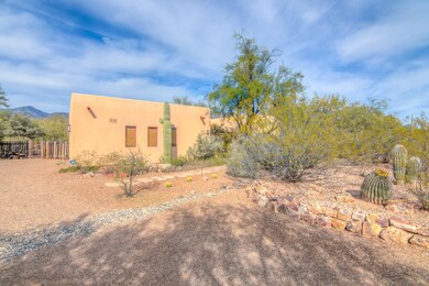 Cactus studded yard