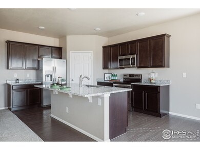 6223 Oak Grove St, Timnath, CO 80547 - photo 6