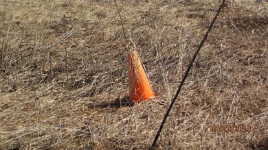 The cone on the left marks the beginning of the property.