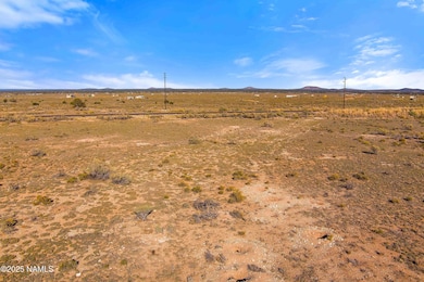 2322 US Hwy 180, Williams, AZ 86046 - photo 4