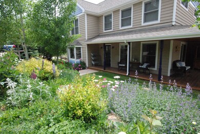 Front Garden Perrenials