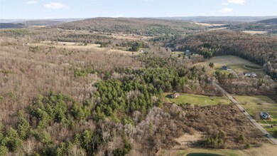 0 Foster Valley Rd unit 330660, Owego, NY - photo 2