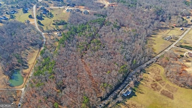 4431 Jim Hood Rd, Gainesville, GA 30506 - photo 5