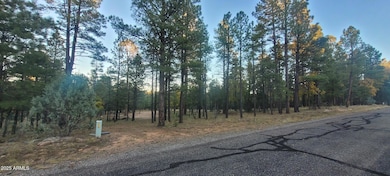 2857 Sparrow Dr unit 22, Happy Jack, AZ 86024 - photo 3