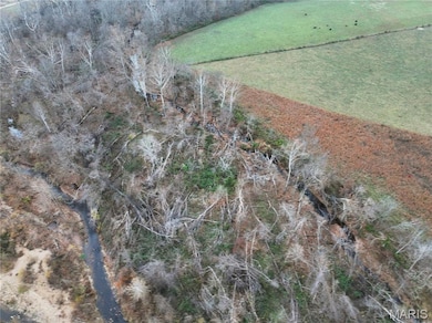 Off Hwy Zz, Marble Hill, MO 63764 - photo 6