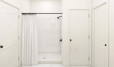 Primary bath shower
