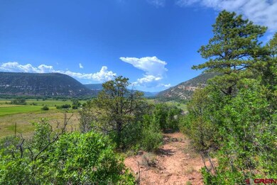 0 Elkridge Ln unit 708710, Durango, CO 81301 - photo 3