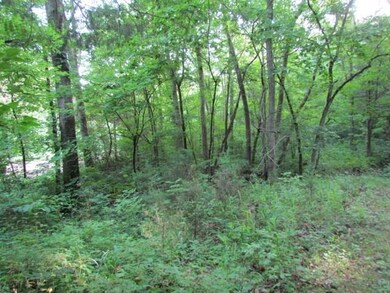 12564 Parker Branch Rd, West Fork, AR 72774 - photo 3