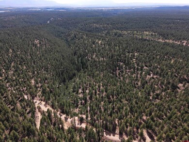 37494 Rd T 7, Mancos, CO 81328 - photo 2