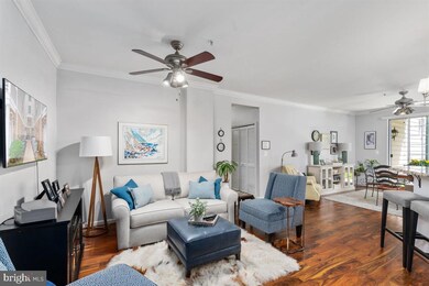 502 Mathias Hammond Way unit 101, Annapolis, MD 21401 - photo 3