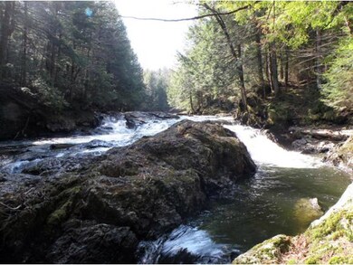 Hemlock forested banks