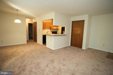 44792 Locust Ridge Ct unit CT857, California, MD 20619 - photo 5