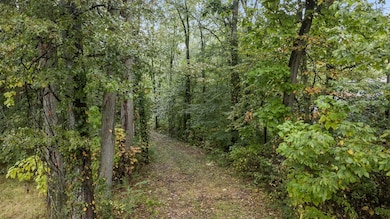 11-web-or-mls-DJI_0412