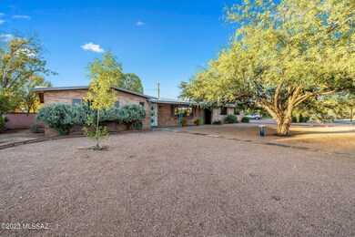 Low care front yard