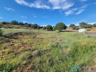 XX Copper Ridge Dr, Silver City, NM 88061 - photo 4